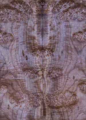 myrtlewood burl 14